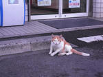 20100907002.JPG