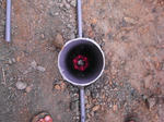 2010908006.JPG