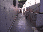 image4.gif