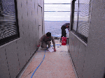 pure002.gif