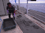 pure004.gif