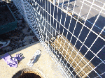 84121707.gif