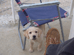 113001.gif