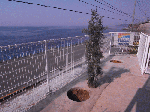 kusa001.gif