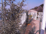 kusa003.gif