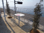 rrr001.gif