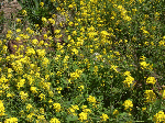 image05.gif