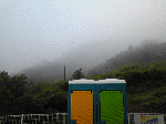 51202.gif