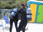 tt.gif