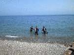 5205.gif