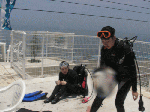 f30e8085.gif