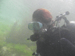 imageitw008.gif