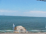 24002.gif