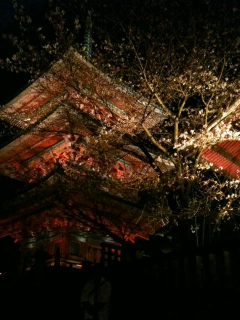 kyoto2.JPG