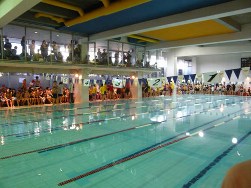 P1050963.jpg