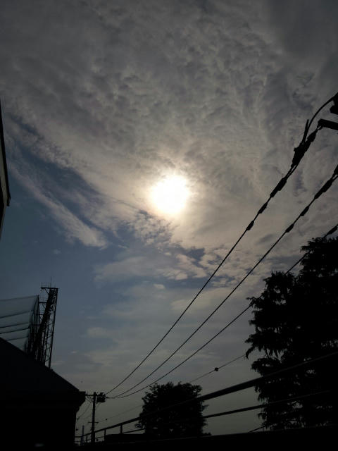 20120521_073033.jpg
