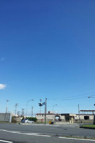 20121004_122440.jpg