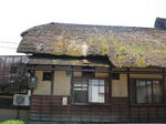 DSC04524.jpg