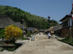 DSC04534.jpg