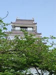 DSC04555.jpg