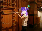 DSC04564ex.JPG