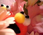 エルモと花