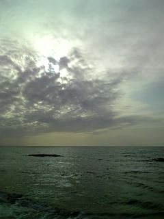 海
