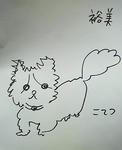 yumikote.jpg