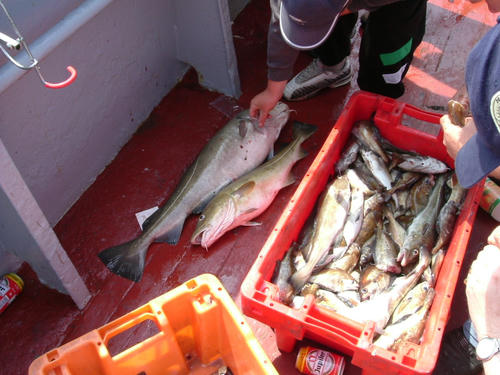 DSCF1097.JPG