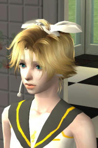 sim4.jpg
