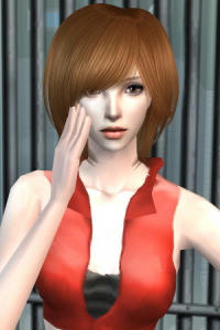 sim6.jpg