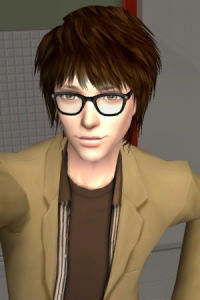 sim7.jpg