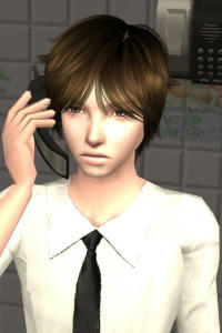 sim8.jpg