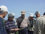 DSC00038.jpg