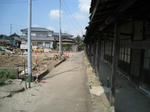IMG_00251.jpg
