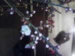 T0010125.jpg