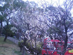 T0010163.jpg