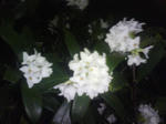 T0010183.jpg