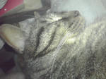 K3400048.JPG