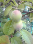 K3400052.JPG