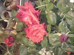 K3400059.JPG