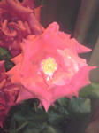 K3400078.JPG
