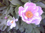 K3400082.JPG