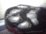 K3400066-.JPG