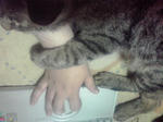 K3400051.JPG