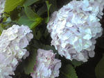 K3400218.JPG