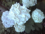K3400220.JPG