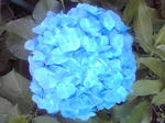 K3400219.JPG