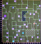 Craydia_1F.jpg