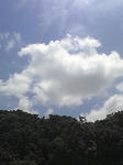PAP_0221.JPG